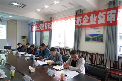 瀘天化安全文化示范企業(yè)復評驗收 (5).JPG
